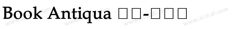 Book Antiqua 常规字体转换